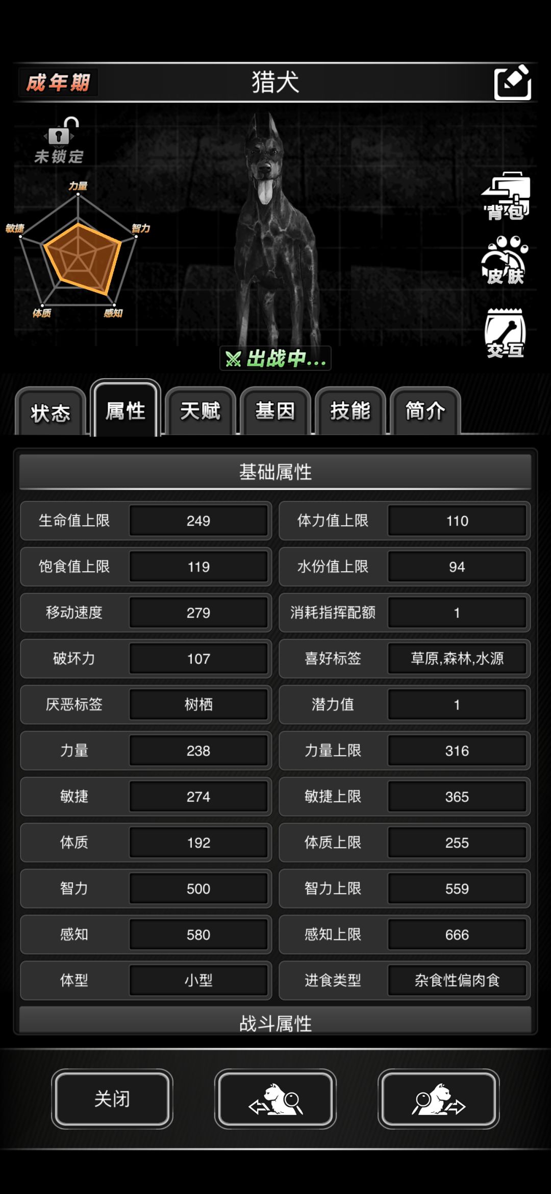 宠物扫荡速度和什么挂钩? 5