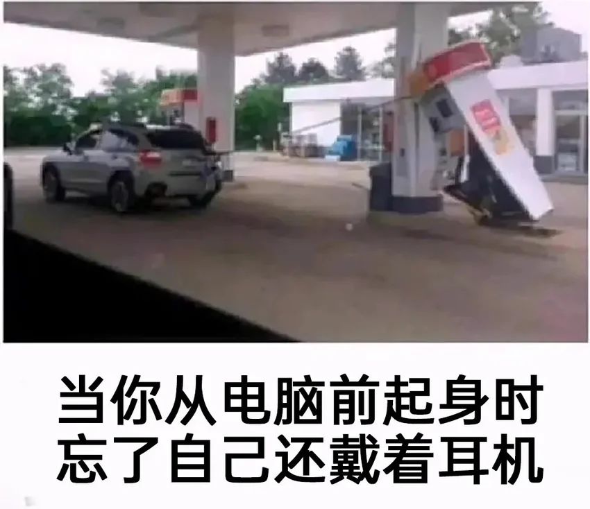 ✨今日份梗图分享第五十期✨ 2