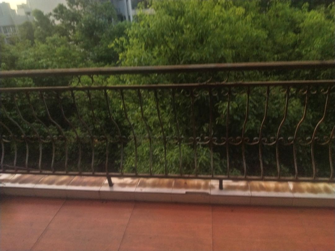 还没到20岁的年纪都有了自己的房子 2