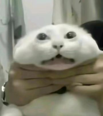 快来 TapTap 加入「预约《异环》