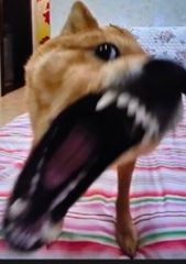 寒假放假时间😭😭😭 1
