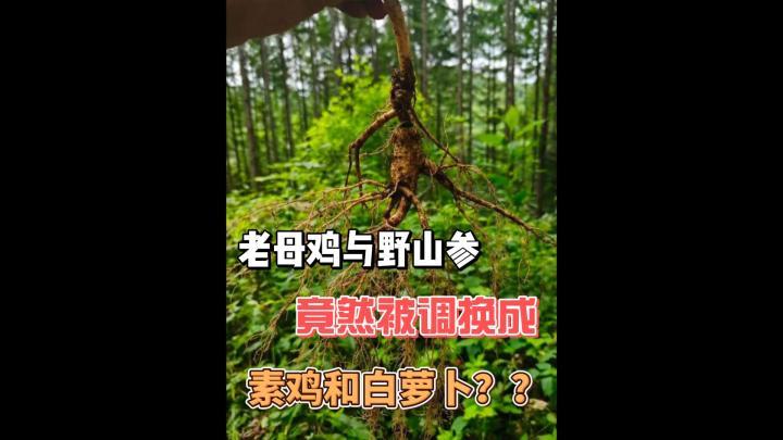 好心送补品，结局谁也没料到！截图