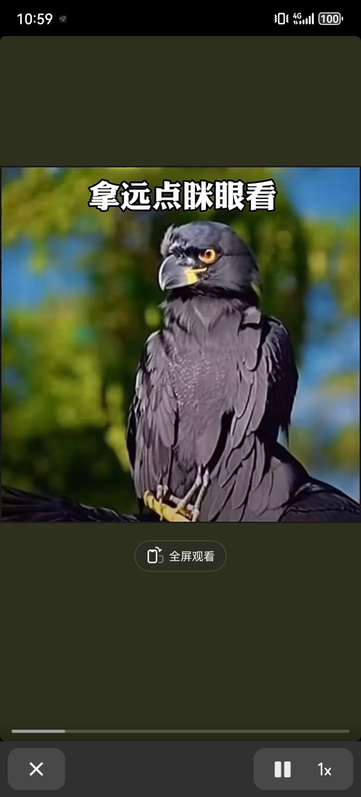 买断制嘛?截图
