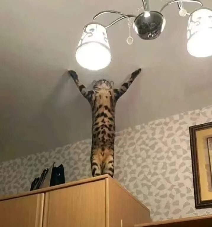 装备截图