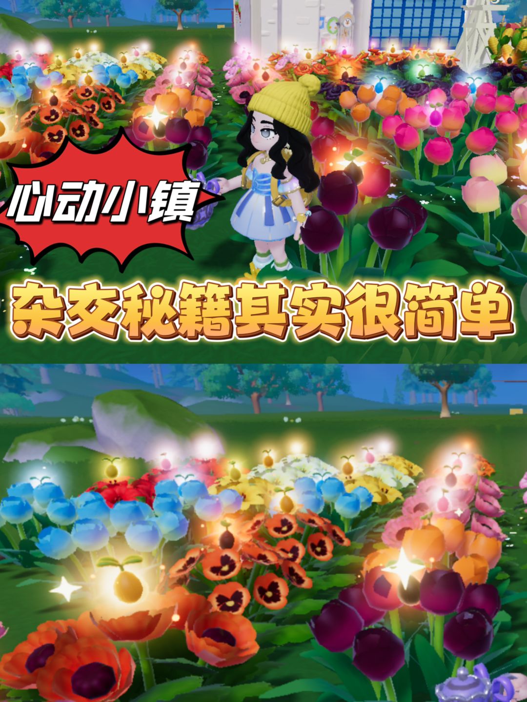 心动小镇杂交很简单,直接点题。 1