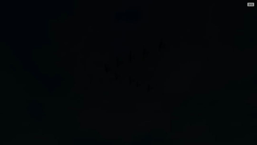 video-5533228