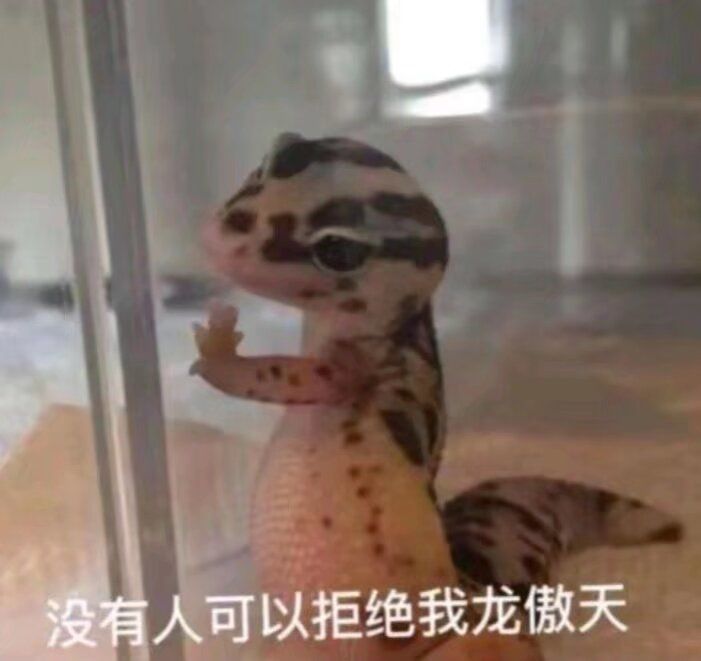 奇怪，感觉大眼萌妹好像又回暖了一点 2