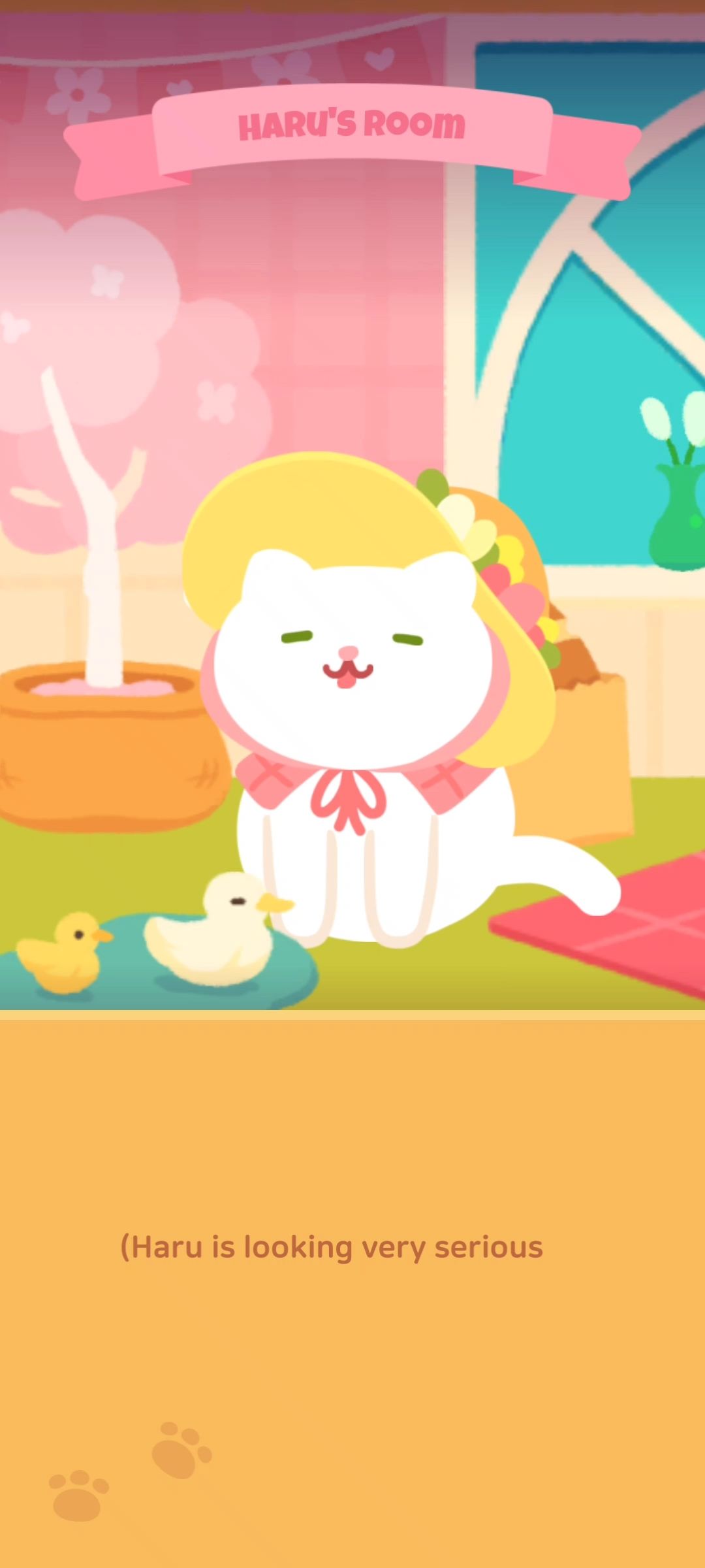 春天的小猫Haru 1