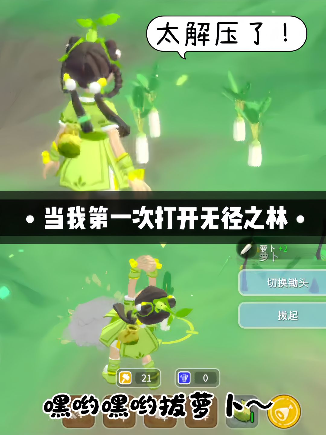video-5540708
