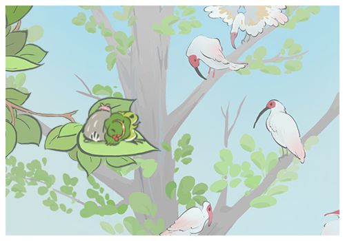 动态图片 7