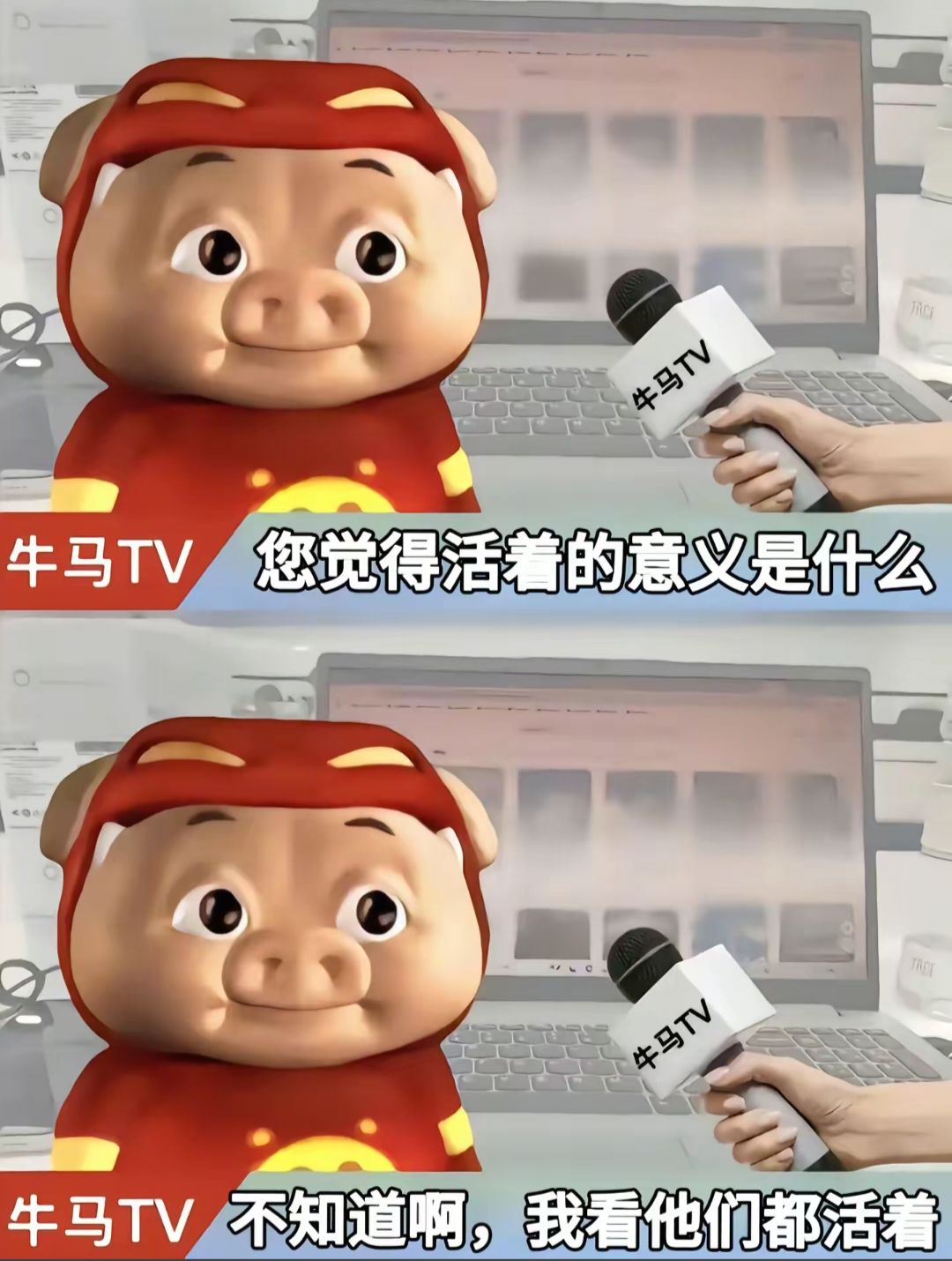 ✨今日份梗图分享第九十二期✨ 2