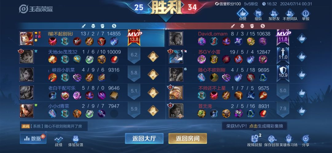 你看看，这就是你的队友和游戏截图