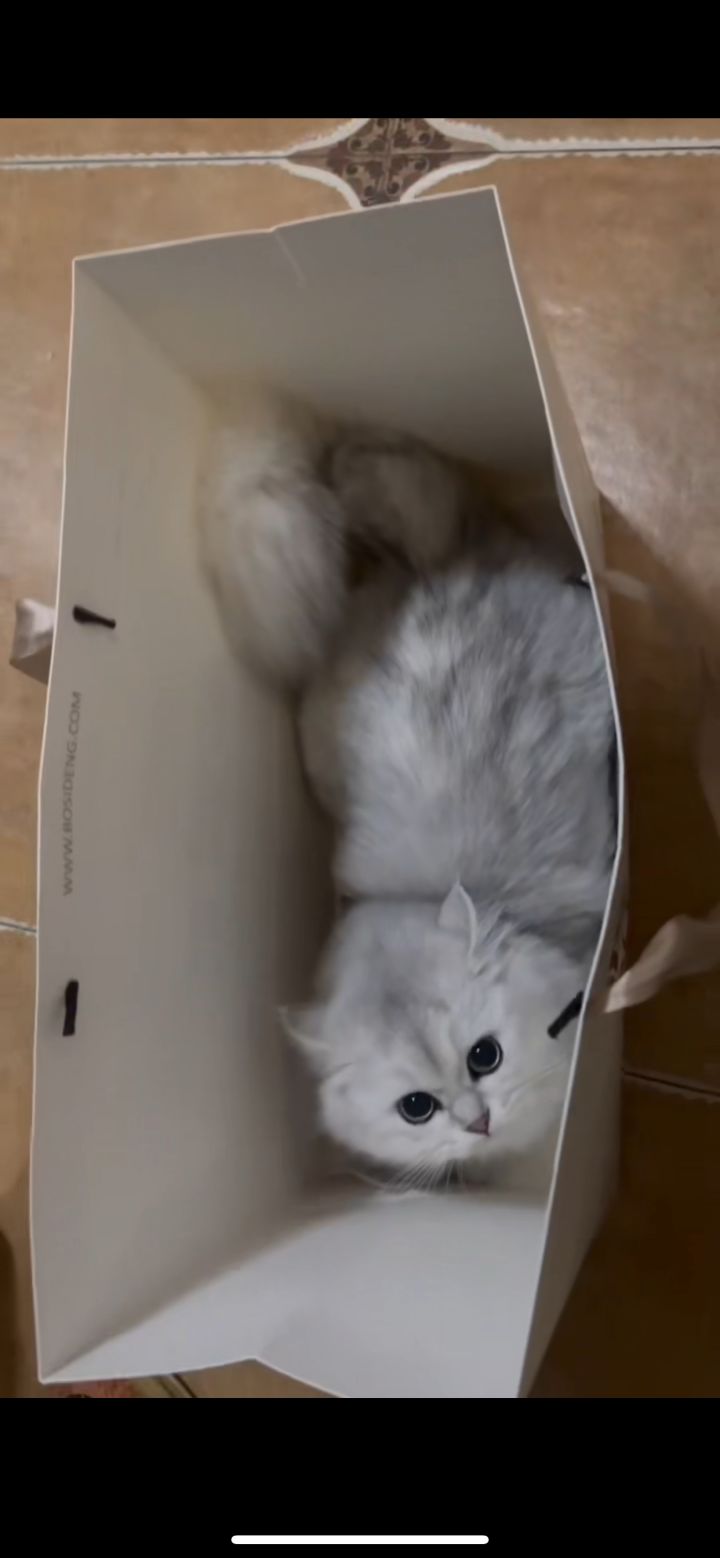 萌新开荒，有没有一起的截图