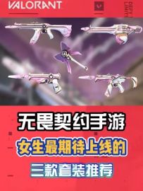 盘点无畏契约手游，女瓦最期待上架的套装皮肤有哪些！