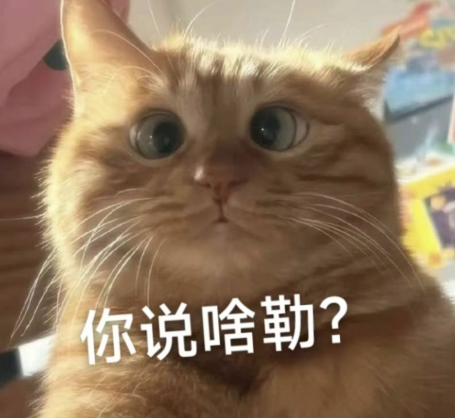 提问 1
