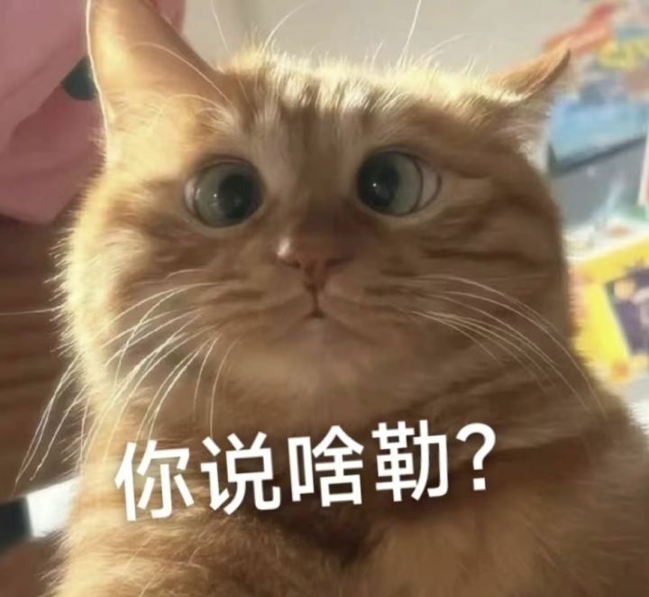 提问截图