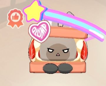 猫猫包风味极简攻略