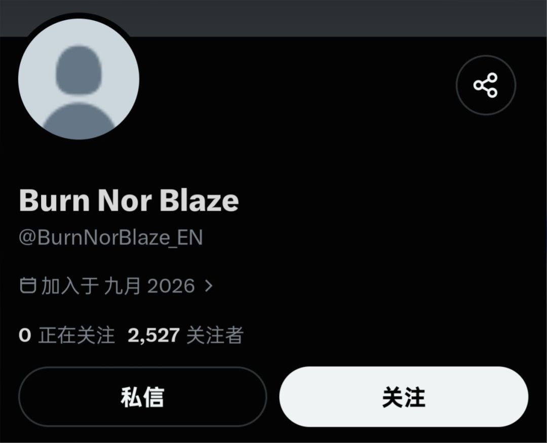库洛新作NAMI多国官号就位!大的要来了? 1