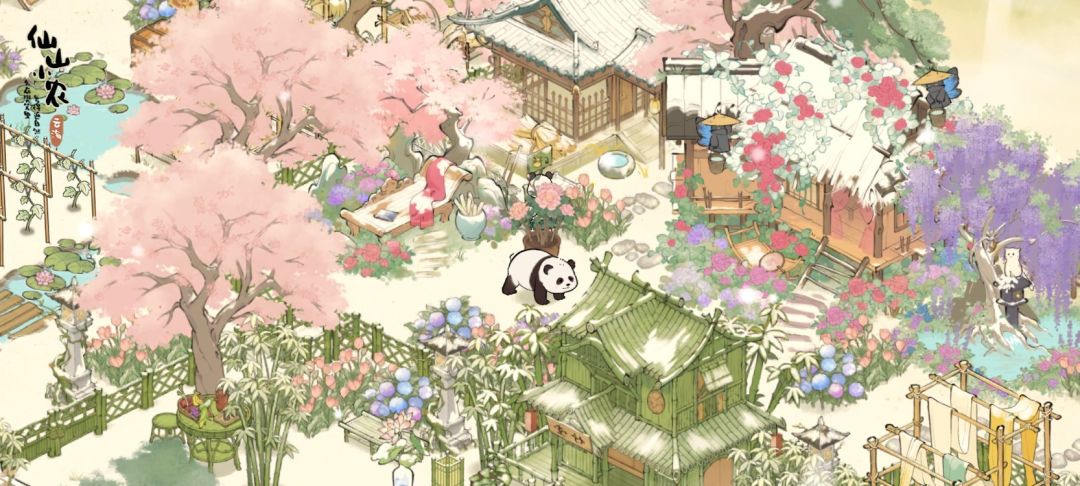 下雪和花花~~ 2