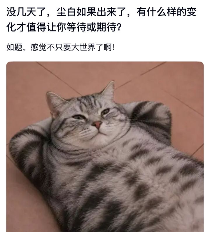 8月20日上线在即!大世界玩法成最大期待截图
