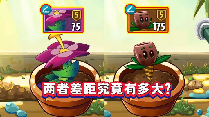 暗樱草VS橄榄坑，谁才是最强秒杀植物？截图