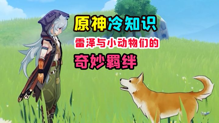 原神里你不知道的冷知识,雷泽与动物之间的羁绊截图