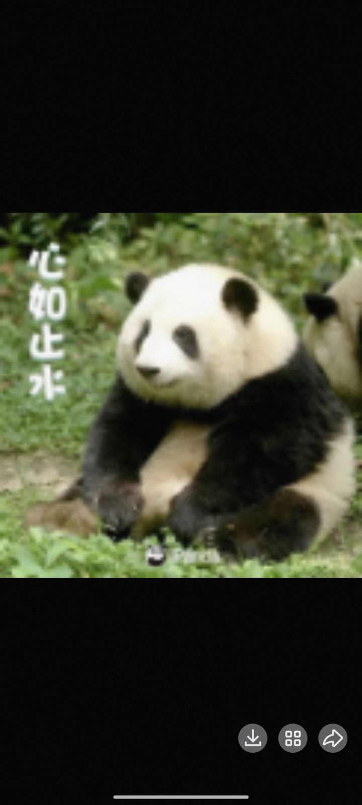 今天艾特拉之心预感能劝退一批人截图