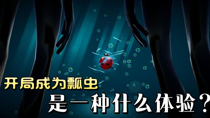 成为瓢虫是一种什么样的体验?独特视角带你领略虫虫的一生。截图