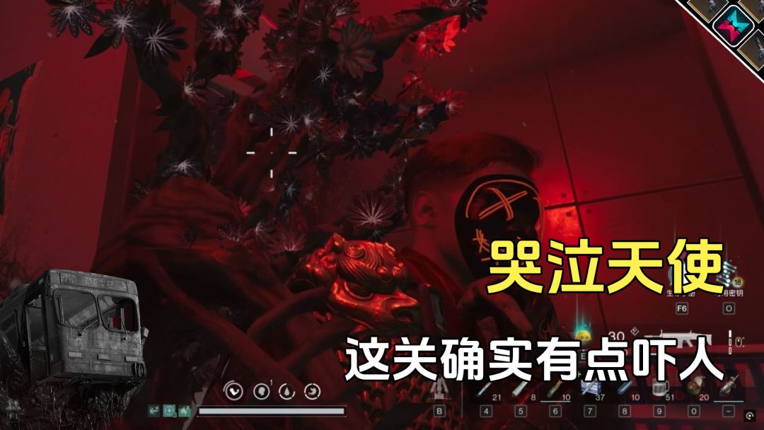 video-4261044