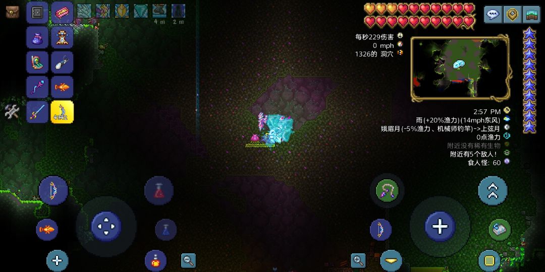 找到世纪之花啦! 2