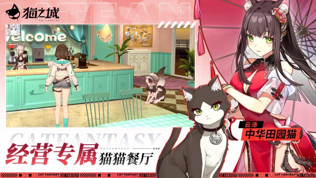 猫之城复活 2