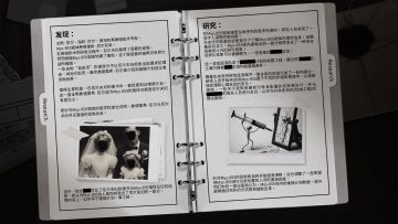 S.N.O_16_“弗德里希·尼尔，她曾经的名字。”