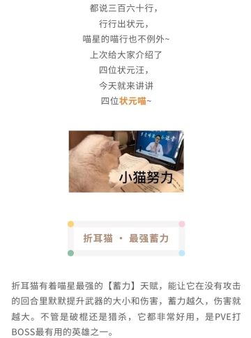 高考状元还没出炉，不如先看看喵星的猫状元吧~