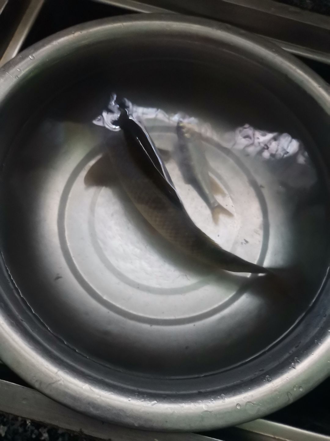 提问:150级后。在哪里挂机升级快? 2