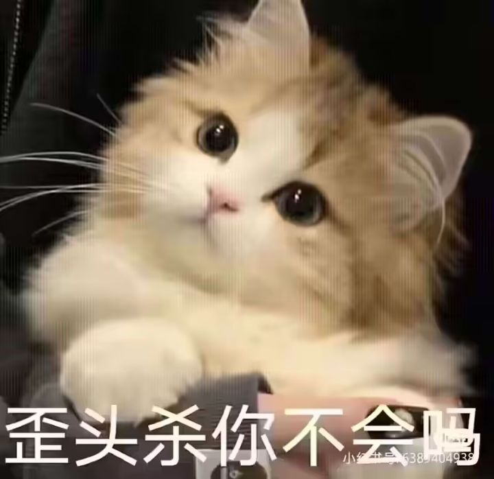 从前天开始的捏饼干人截图