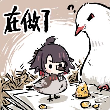 【表情包】现在为您带来野良表情包！