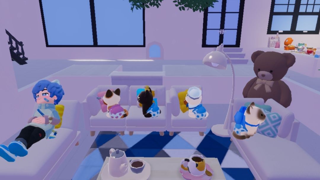 小猫进屋 3