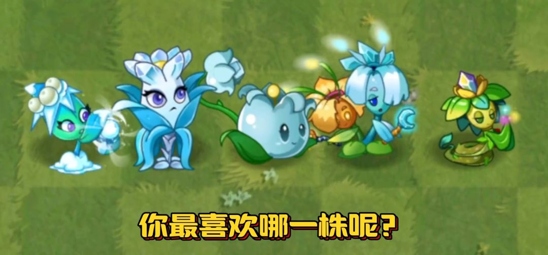 看外观,哪个最美 1