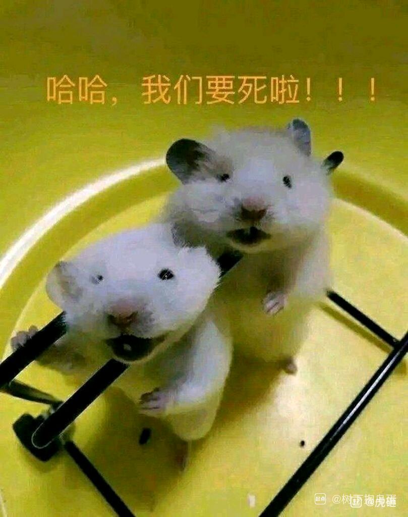 兰德里的痛苦活动 1
