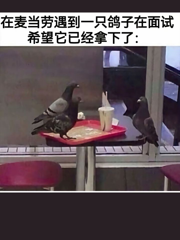 抽雪球的花费都没沙球贵截图