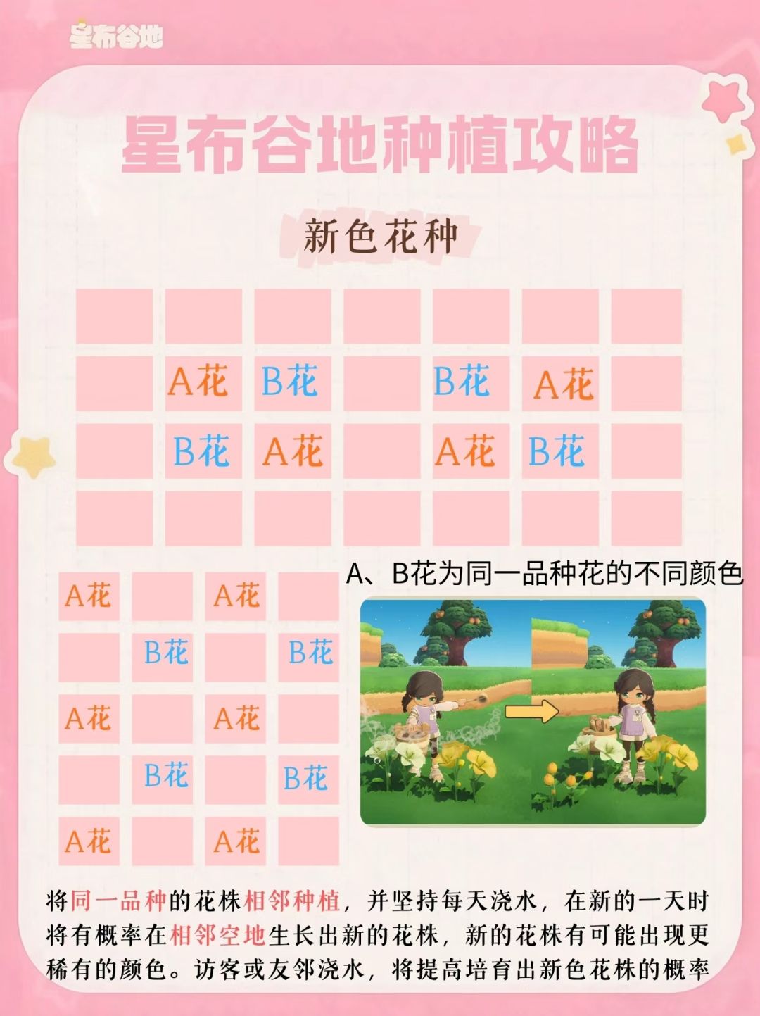 星布谷地特殊作物及异色花种植攻略 4