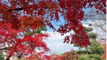 2022年版，最新攻略，祝愿开局玩家少走弯路，记得填我邀请码呦