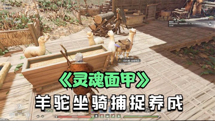 灵魂面甲:羊驼坐骑捕捉养成及鞍具制作攻略!运气好一次抓了四只截图