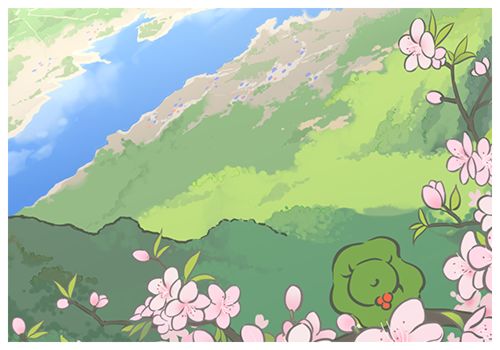 照片存档17 7