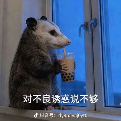 多余的碎片怎么办 1