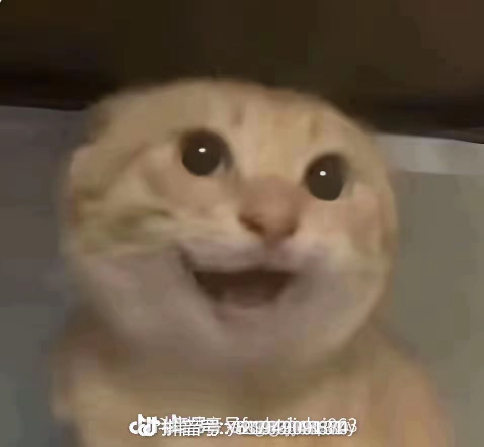 这是体验车吗? 2