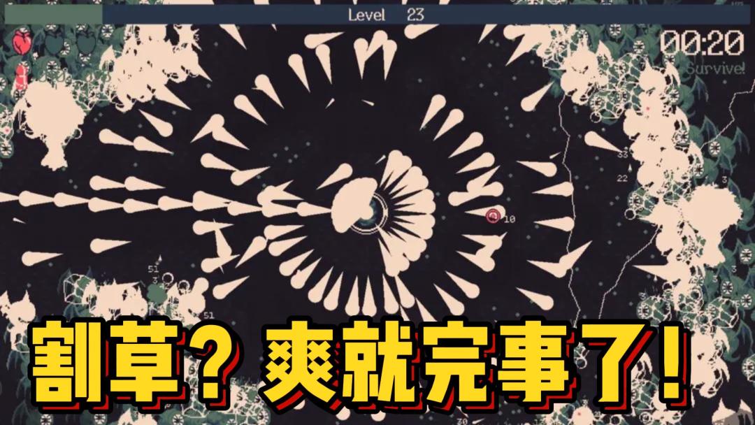 video-4135657