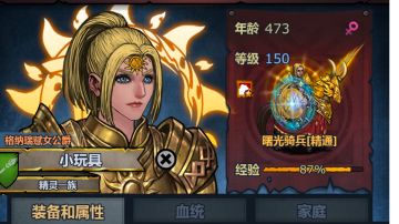 帕洛入侵伤害榜皇骑攻略补充