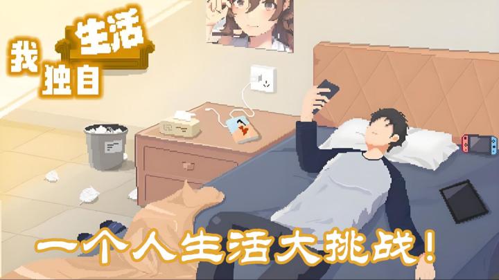 一个人生活大挑战截图