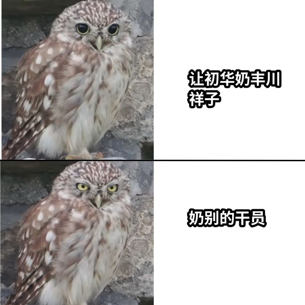 我只喜欢收集 13